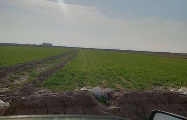 1800 متر زمین کشاورزی