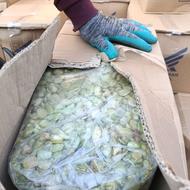 باقالی سبز بخار پز