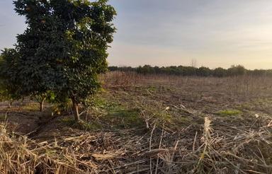 زمین 2000 متری بر جاده اصلی با قیمت استثنایی