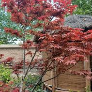 استخدام کارگر ساده