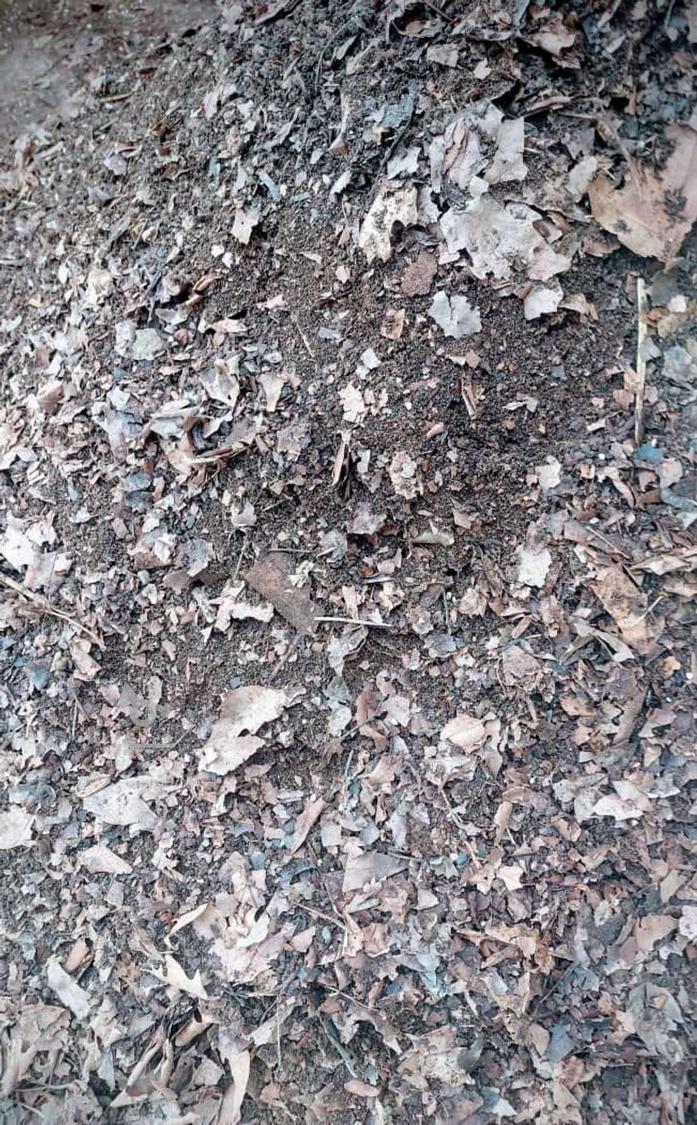 تولیدی خاک رویش سبز