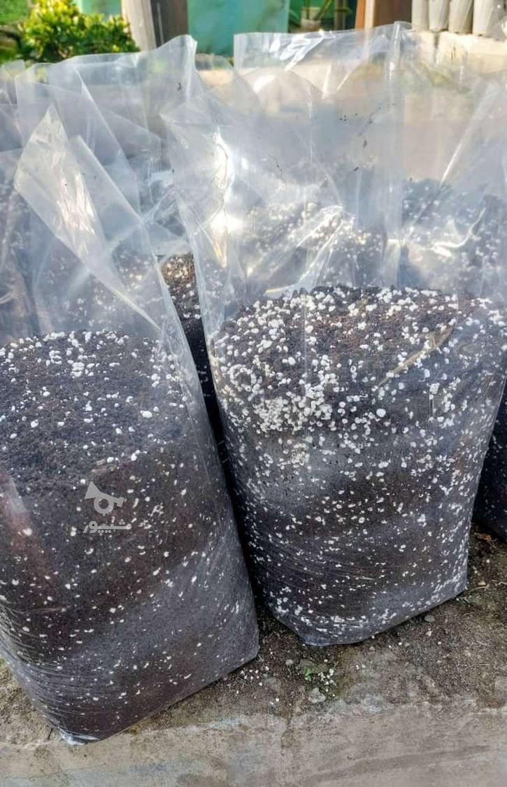 تولیدی خاک رویش سبز