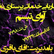 استخدام نیروی انسانی با تجربه برای نگهداری از سالمندان