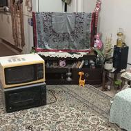 توستر بین و لوکسل به همراه جوجه گردان