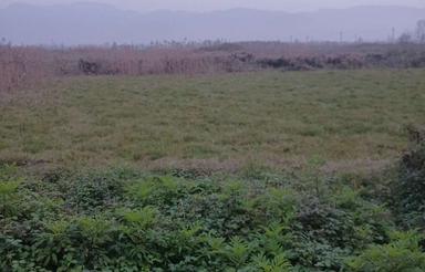 زمین با کاربری صنعتی