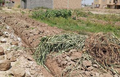 زمین مسکونی 100 متر 340 میلیون تومان