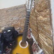 گیتار حرفه ای