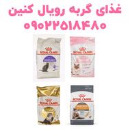 مجموعه کوروش عرضه کننده غذای گربه رویال کنین