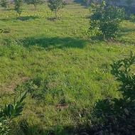 فروش 400 متر زمین نزدیک  جاده اصلی در ایوک جاده نظامی 