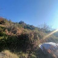 فروش 300 متر زمین باچشم انداز بی نظیر در حاجیکلا جاده نظامی