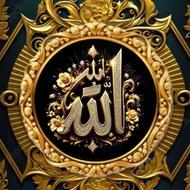 حواله خودرو 207