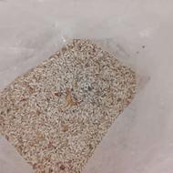 برنج ریز لاشه برنج سورتنیک زده