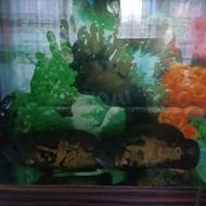 آکواریوم فروشی