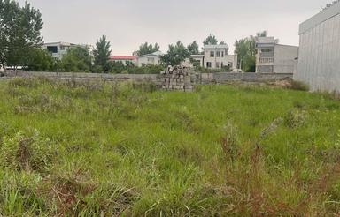 زمین 273 در عباسا خیابان ورزش