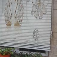 فروش ویژه پرده زبرا و معمولی