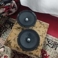 میدرنج 8 اینچ