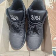 کفش جردن 2024