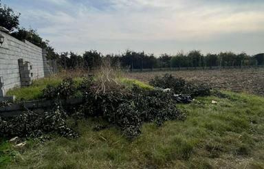 فروش زمین کشاورزی 1200 متر در موسی کلا