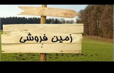 زمین مسکونی سند مشاع