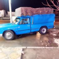 رخش تمام عیار زیبا وبی عیب ونقص