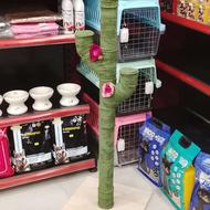 اسکرچر گربه خانگی