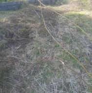 مازندران/عباس اباد/کاظمکلا/داخل محل