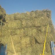 خرید و فروش یونجه نقد