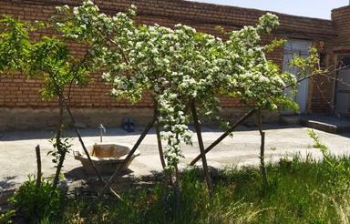 700متری سند تک برگ چهار دیواری