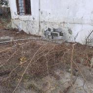 چوب ریز درختان انجیر ونارنج چوب خشک برای هیزم