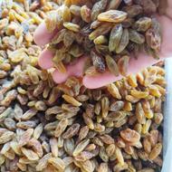 مواد غذایی و عرقیات