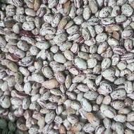 لوبیا چیتی بوجاری شده