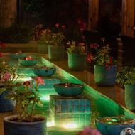 پارکبان و پارکینگ