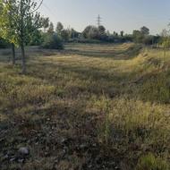 6000 متر زمین باغی داخل طرح گیلان، رضوانشهر