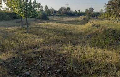 6000 متر زمین باغی داخل طرح گیلان، رضوانشهر