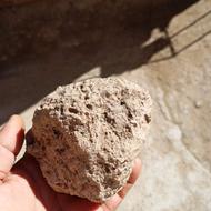 سنگ شب چراغ فسیلی