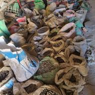 فروش انواع پیچ