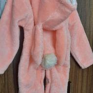 تدی گرم خرگوشی