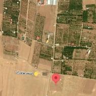 1000 متر زمین در خانهمیران