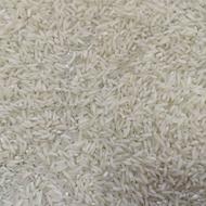 طارم هاشمی کشت اول و دوم