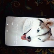 موبایل شیائومی poco c75