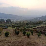 باغ با سند قبل جنگل اندارگلی