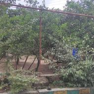 207 متر زمین تجاری-مسکونی قبل جنگل اندارگلی