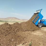 کودحیوانی گوسفندی