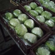 کاهو سالادی