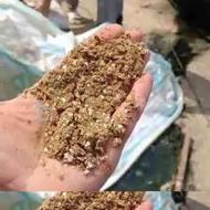 فروش پودر جوجه درجه یک