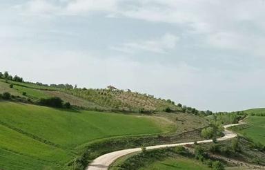 فروش یا معاوضه