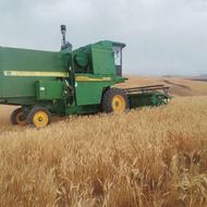 ردوازده تن کاه کاه به بفروش می رسد