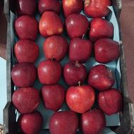 سیب سردخانه