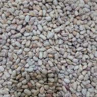 لوبیا چیتی اورگانیک وبذری پاکوتاه