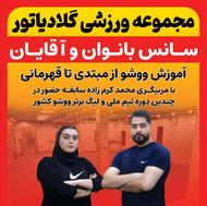 آموزش ووشو به صورت حرفه ای در آمل